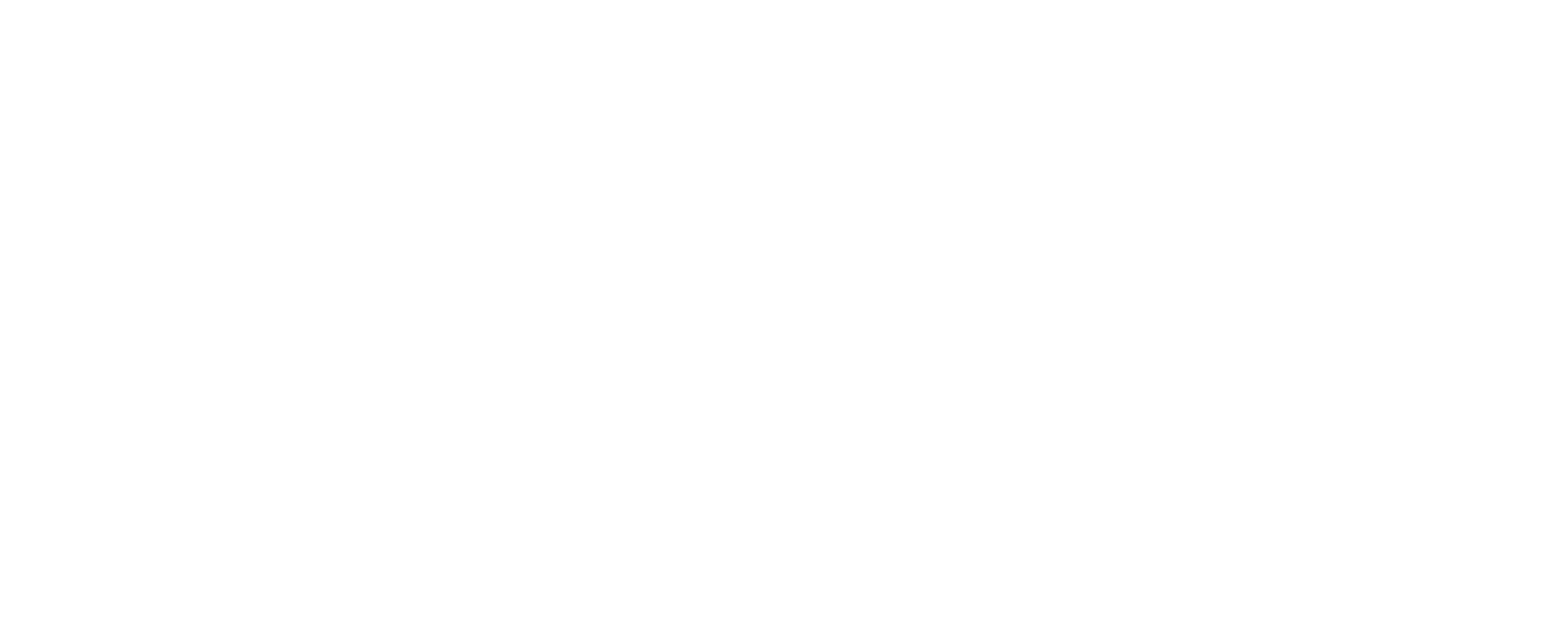 LOGO COMFORTSHOES