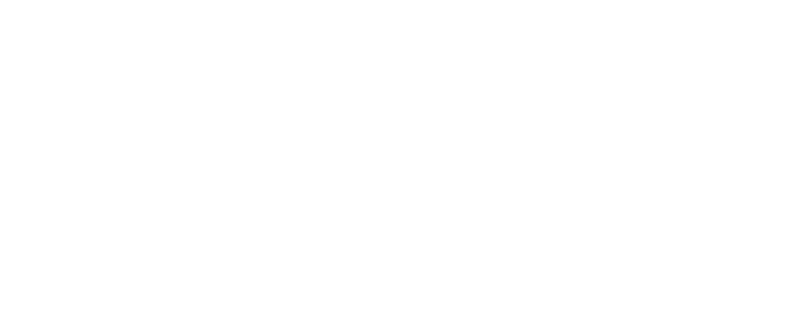 LOGO DIVINÓPOLIS CALÇADOS