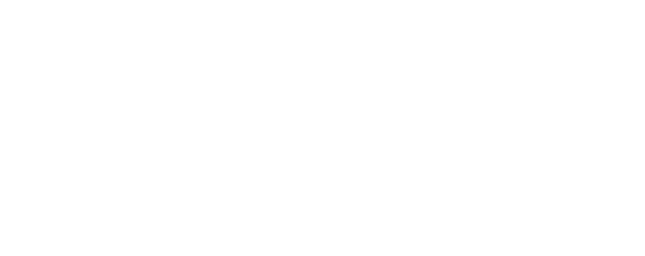 LOGO DIVISPORTS