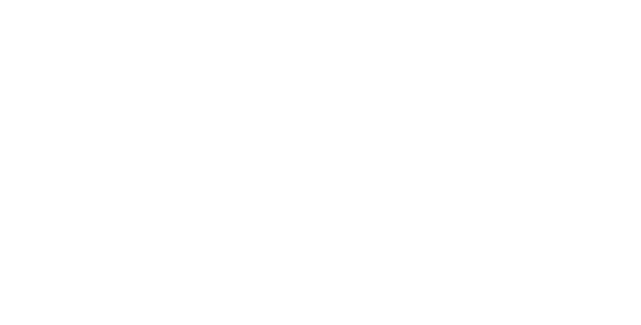 LOGO SEM FUNDO BRANCA