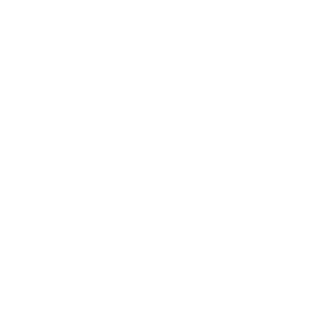 dash noivas logo branco